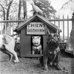 CHIENS MECHANS
