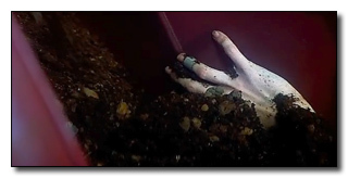 6 Movie Plot Holes You Never Noticed Thanks to Editing