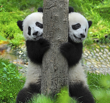 4 Complaints People Always Have About Women-Led Movies