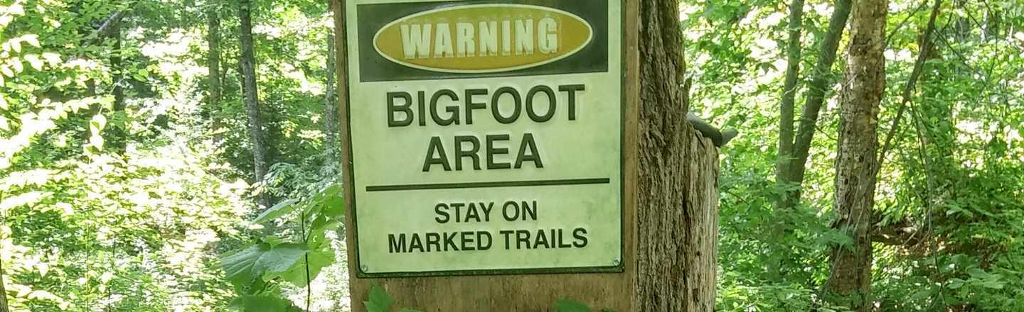 WARNING BIGFOOT AREA STAY ON MARKED TRAILS 