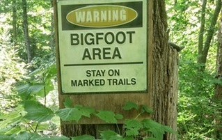Hunting Bigfoot: 4 Things You Learn Chasing Fiction