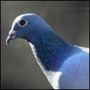 CRACKED ROUND-UP: Movember Edition