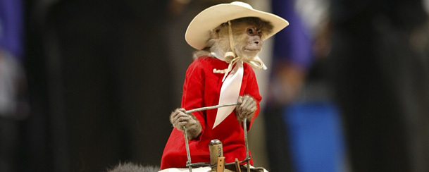 The 7 Best Kinds of Monkeys: A Drunk Column