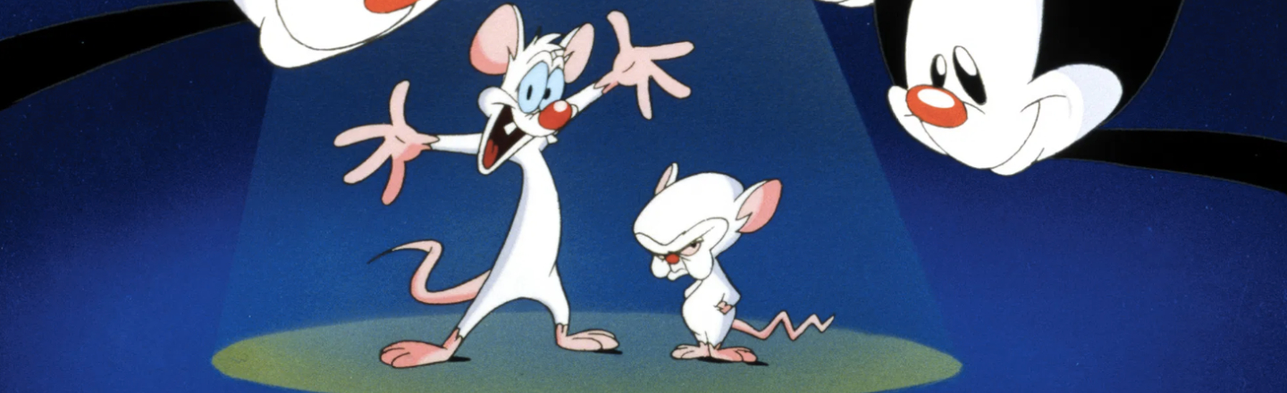 The Deep Cut 'Animaniacs' Joke That Went Over Kids' Heads