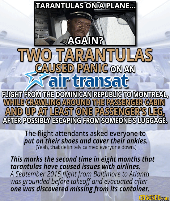 The 13 Most Insane Things Happening Right Now (5/24)