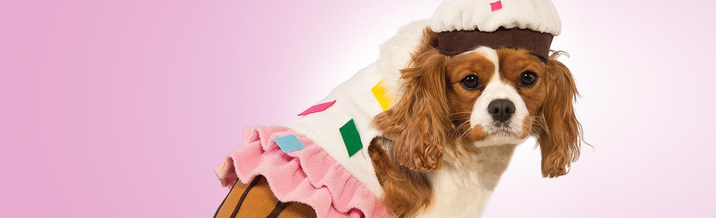 12 Halloween Costumes To Scar Your Pet For Life