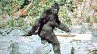 All the Ways Science Has Tried to Prove Bigfoot