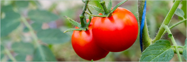 5 Dumb Truths Behind Amazing Scientific Mysteries