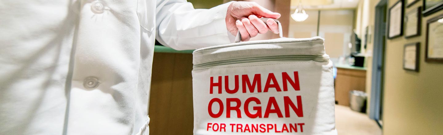 HUMAN ORGAN FOR TRANSPLANT
