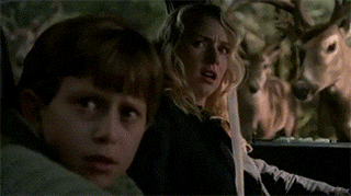 The Ring killer deer