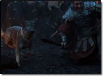 gladiator movie dog