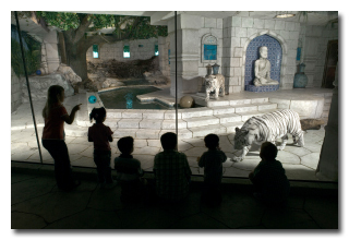 7 რეალური ისტორია ცხოველების შესახებ, რომლებმაც ადამიანები გარდაუვალი სიკვდილისგან იხსნეს