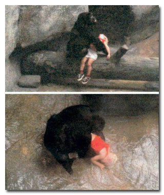 7 რეალური ისტორია ცხოველების შესახებ, რომლებმაც ადამიანები გარდაუვალი სიკვდილისგან იხსნეს