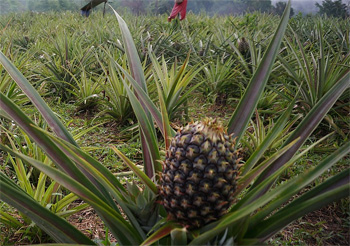 6 Status Symbols From The Past (That Now Seem Totally Ridiculous)