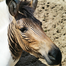 Cracked Round-Up: 3 Tips for Incoming Freshmen Edition