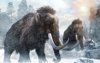Mammoths Were Sickly Inbred Mutants Who Couldn't Smell