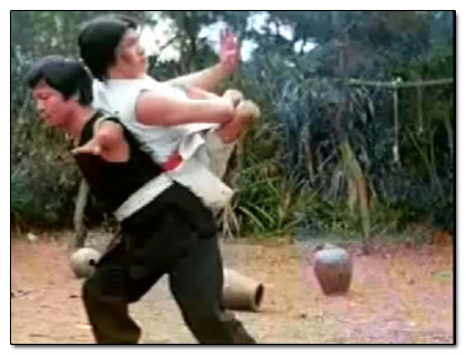The 5 Most Ridiculous Martial Arts Movies Ever 