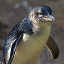 Cracked Round-Up: August is the New July Edition