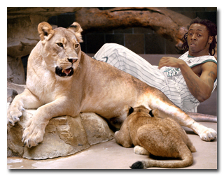 7 რეალური ისტორია ცხოველების შესახებ, რომლებმაც ადამიანები გარდაუვალი სიკვდილისგან იხსნეს