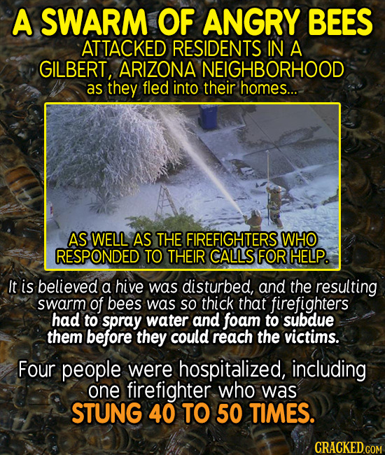 A SWARM OF ANGRY BEES ATTACKED RESIDENTS IN A GILBERT, ARIZONA NEIGHBORHOOD as they fled into their homes... AS WELL AS THE FIREFIGHTERS WHO RESPONDED