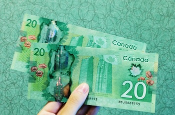 20 canada 20 Canada 20 9155 8S45669155