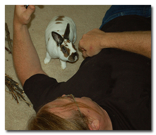 7 რეალური ისტორია ცხოველების შესახებ, რომლებმაც ადამიანები გარდაუვალი სიკვდილისგან იხსნეს