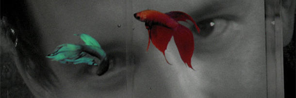 5 Reasons Great Directors Eventually Make a Bad Movie