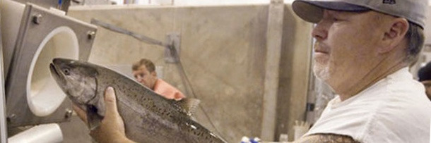 6 Hilarious Ways Science Is Tackling Serious Issues