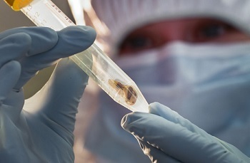 Hitler's Super Jet: 6 Lost Historical Secrets We've Dug Up