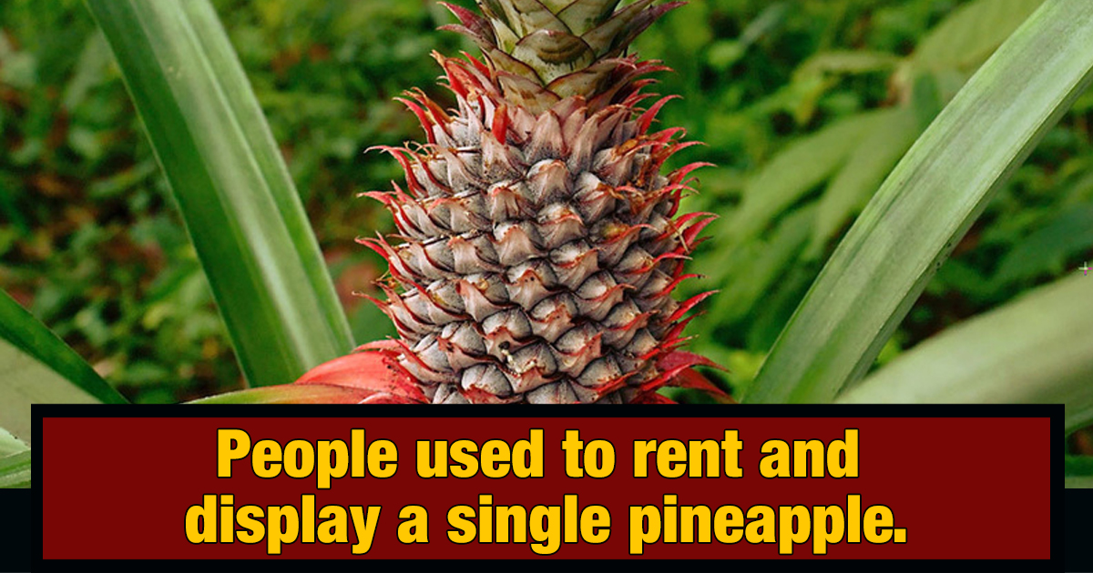 6 Status Symbols From The Past That Now Seem Totally Ridiculous Cracked 6 Status Symbols From The Past That Now Seem Totally Ridiculous Cracked