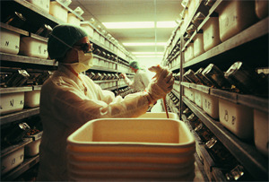 5 Reasons Great Directors Eventually Make a Bad Movie