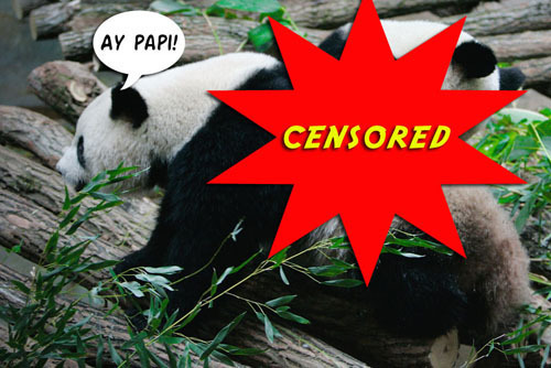 AY PAPI! CENSORED 