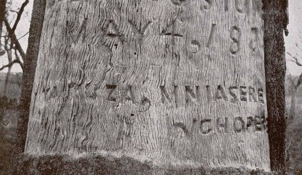 Tree in central Africa where David Livingstone's heart is buried