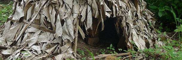 6 'Traditional' Things That've Kept The World A Worse Place