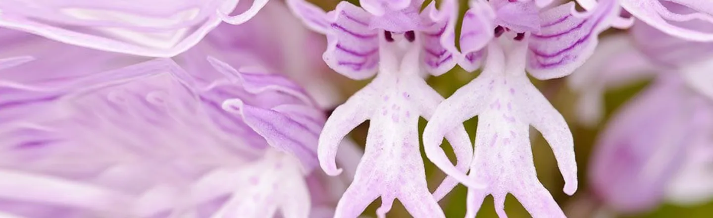 6 Plants And Fungi Designed By Mother Nature (And Satan)