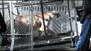 6 Hilarious Ways Science Is Tackling Serious Issues