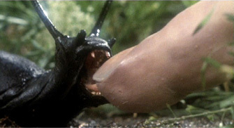 The 7 Most Half-Assed Monsters in Movie History