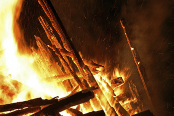 6 Insane True Statistics That Laugh In The Face Of Logic