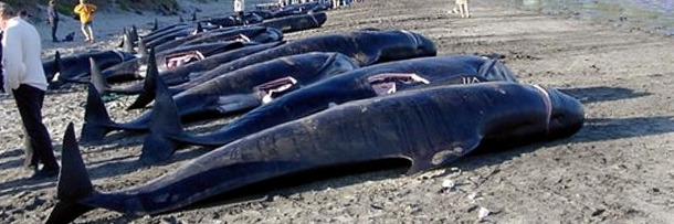 6 'Traditional' Things That've Kept The World A Worse Place