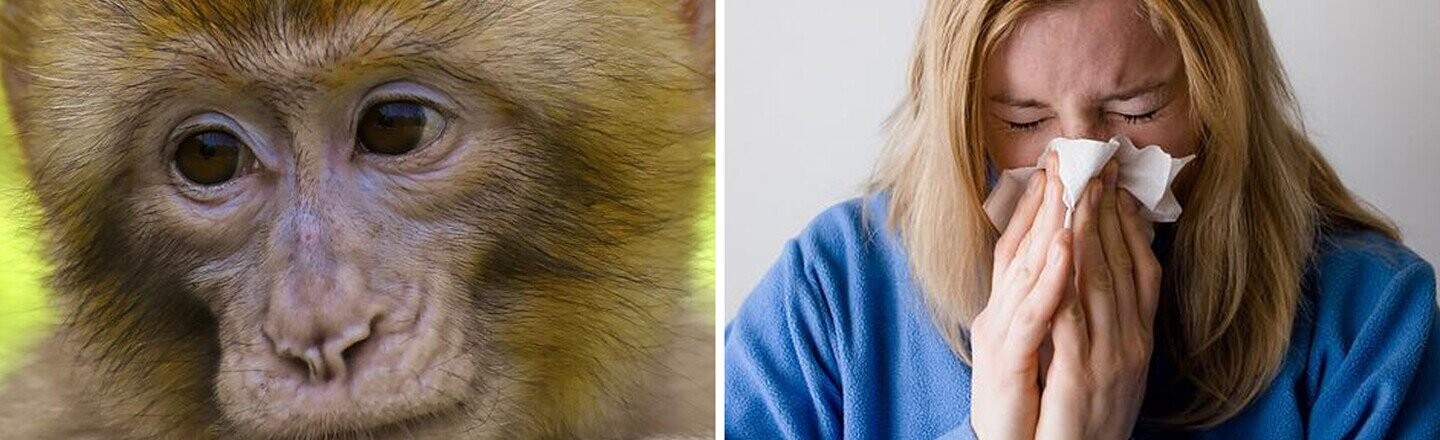 Just Tell Me If I Should Care About Monkeypox
