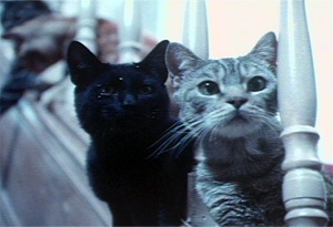 The 7 Most Half-Assed Monsters in Movie History