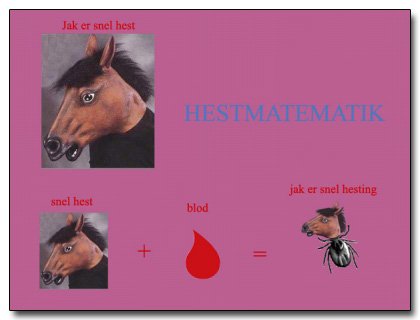 Hestmatematik
