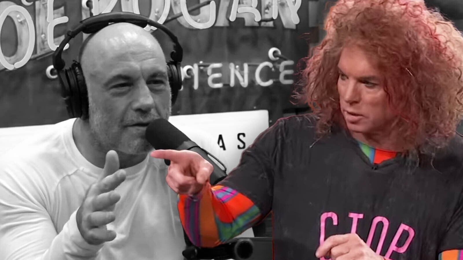 Joe Rogan Says Comedians Are Jealous of Carrot Top