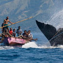 Cracked Round-Up: Write For Us, You Bastards Edition