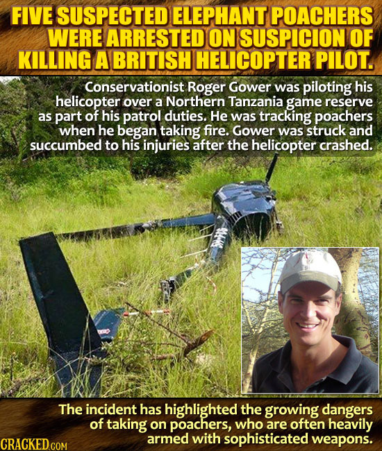 FIVE SUSPECTED ELEPHANT POACHERS WERE ARRESTED ON SUSPICION OF KILLING A BRITISH HELICOPTER PILOT. Conservationist Roger Gower was piloting his helico