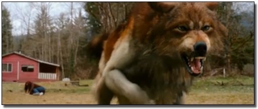 If 'New Moon' Was 10 Times Shorter and 100 Times More Honest