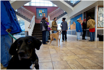 The 5 Actual Happiest Places On Earth