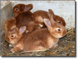 The 7 Most Soul-Crushing Series Finales in TV History