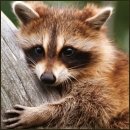 Cracked Round Up: 2011 (?) Edition