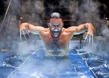 Wolverine post experiment